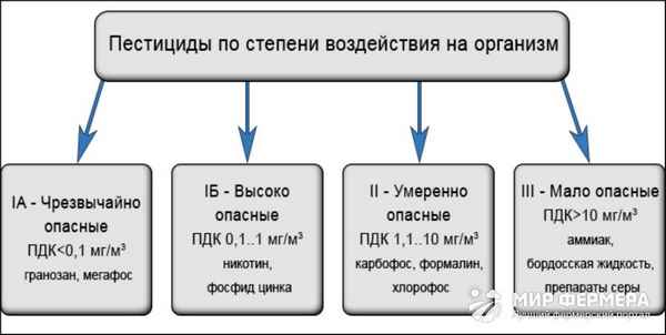Что такое пестициды, их классификация и влияние на организм человек