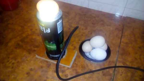 Овоскоп своими руками за 5 минут в домашних условиях + видео как сделать