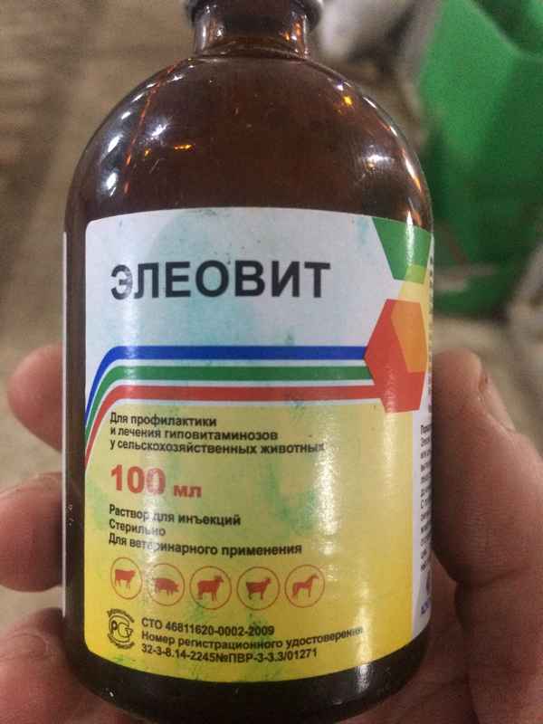 Элеовит для животных: инструкция по применению в ветеринарии, дозировка, отзывы