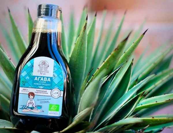 Сироп агавы: польза и вред, калорийность, отзывы