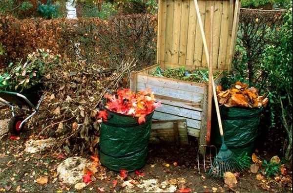 Опавшее «золото»: 8 идей использования осенних листьев