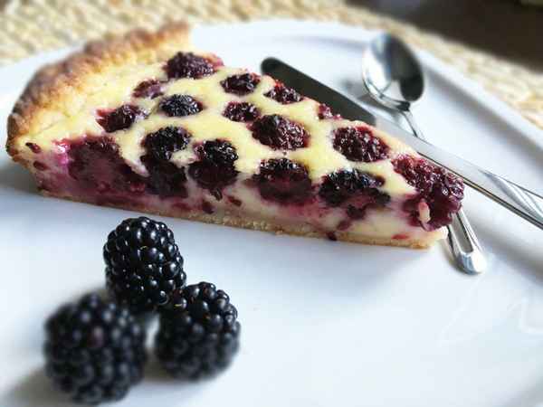 Пироги с ежевикой - рецепт вкусных и пышных ежевичных пирогов с фото