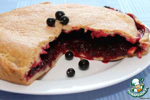 Пироги со смородиной - 3 рецепта смородинового пирога с фото