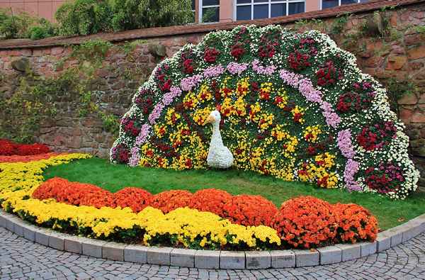 Дизайн цветочной клумбы. ТОП-10 простых и эффективных приемов