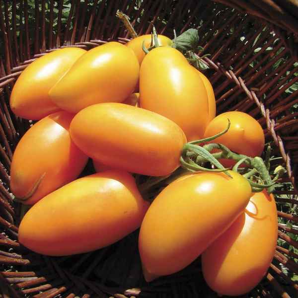 Томат Банановый: описание, хаpaктеристика сорта, фото, отзыв