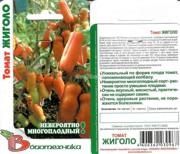 Томат Жигало: хаpaктеристика и описание сорта, фото, отзыв