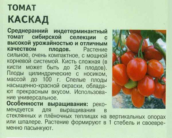 Томат Каскад: хаpaктеристика и описание сорта, отзывы, фото