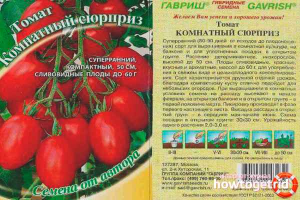 Томат Комнатный сюрприз: хаpaктеристика сорта, отзывы, фото
