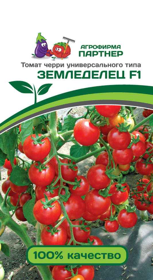 Томат Черри земледелец F1: хаpaктеристика сорта, фото, отзыв