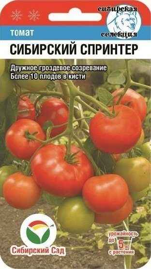 Томат Сибирский спринтер: хаpaктеристика сорта, отзывы, фото