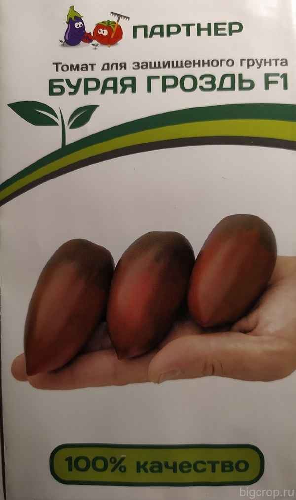 Томат Бурая гроздь F1: описание и урожайность сорта, фото, отзыв