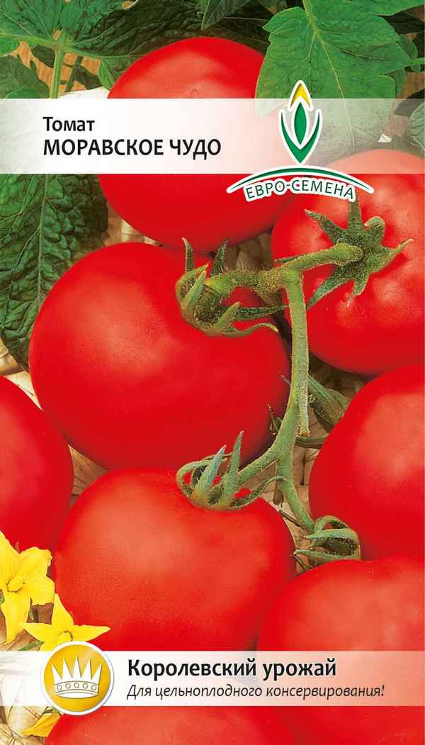 Томат Моравское чудо: описание и урожайность сорта, фото, отзывы