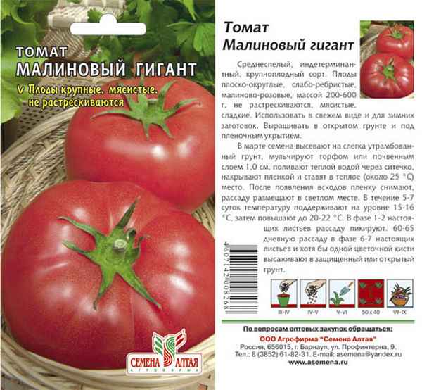 Томат Малиновый великан: описание сорта, отзывы, урожайность