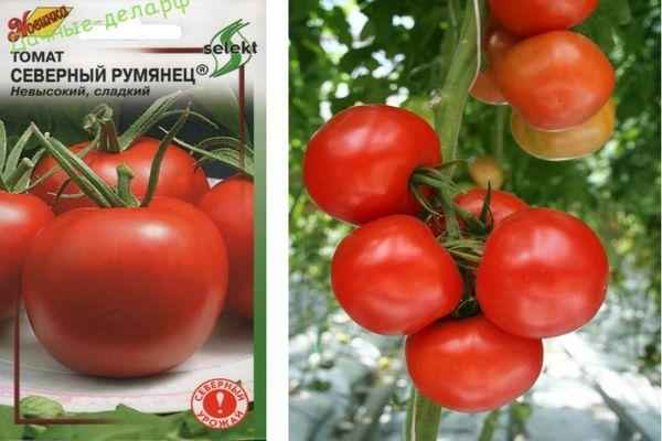 Томат Румянец: описание, хаpaктеристика сорта, отзывы, фото