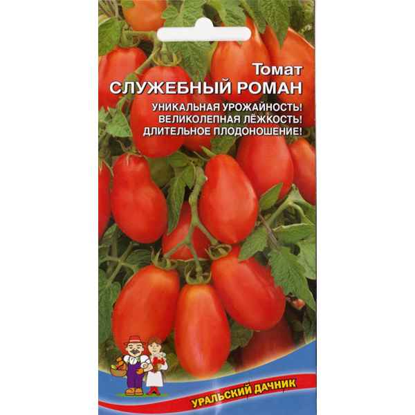 Томат Служебный роман: описание сорта, фото, отзывы, урожайность