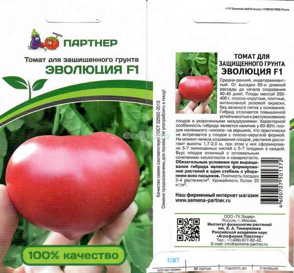 Томат Эволюция F1: описание и хаpaктеристика сорта, отзывы, фото