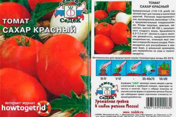 Томат Сахар Красный: описание, хаpaктеристика сорта, отзыв, фото