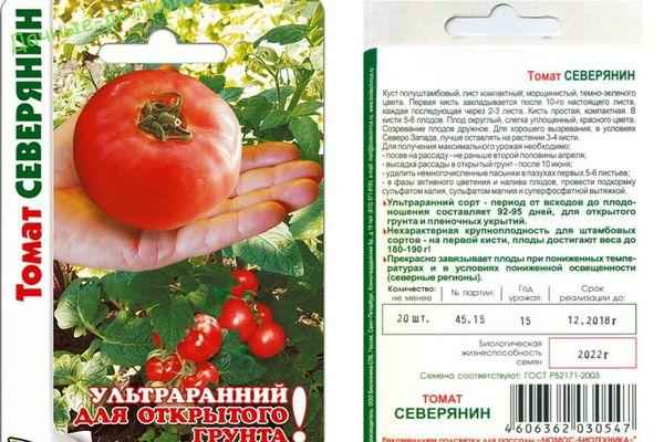 Томат Северянин: описание и хаpaктеристика сорта, отзыв, фото