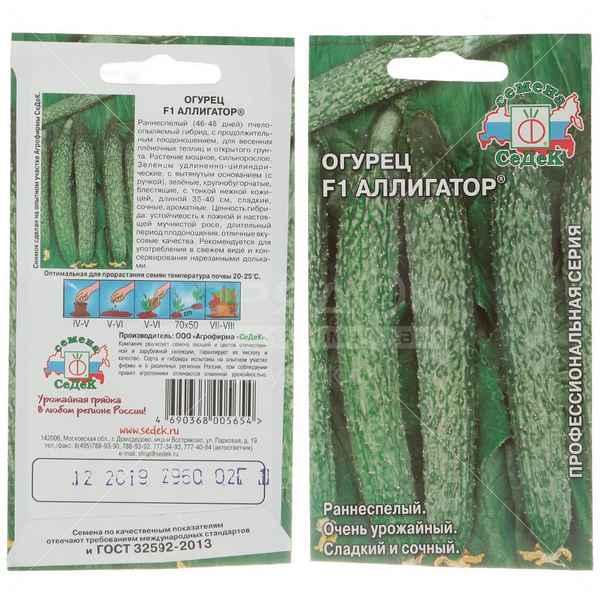 Огурец Аллигатор F1: описание сорта, фото, отзывы, урожайность