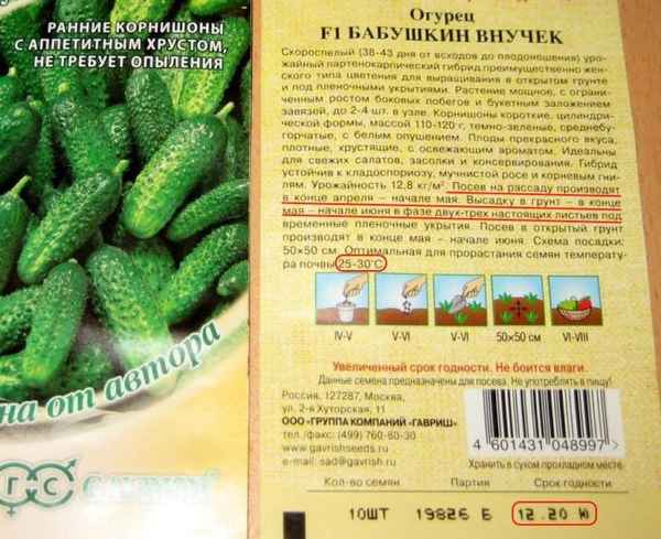 Огурец Бабушкин внучок F1: описание сорта, отзывы, фото