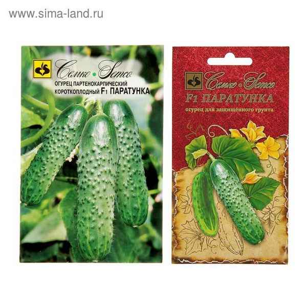 Огурец Паратунка F1: описание и урожайность сорта, фото, отзывы