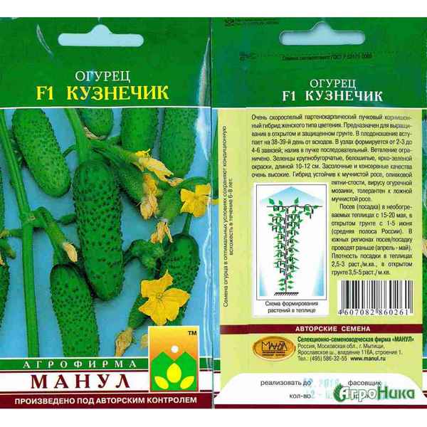 Огурец Кузнечик F1: описание сорта, фото, отзывы, урожайность