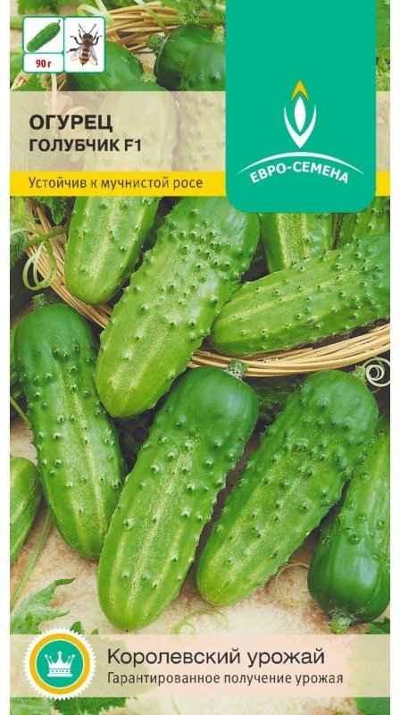 Огурец КС 90 F1: описание и урожайность сорта, фото, отзывы