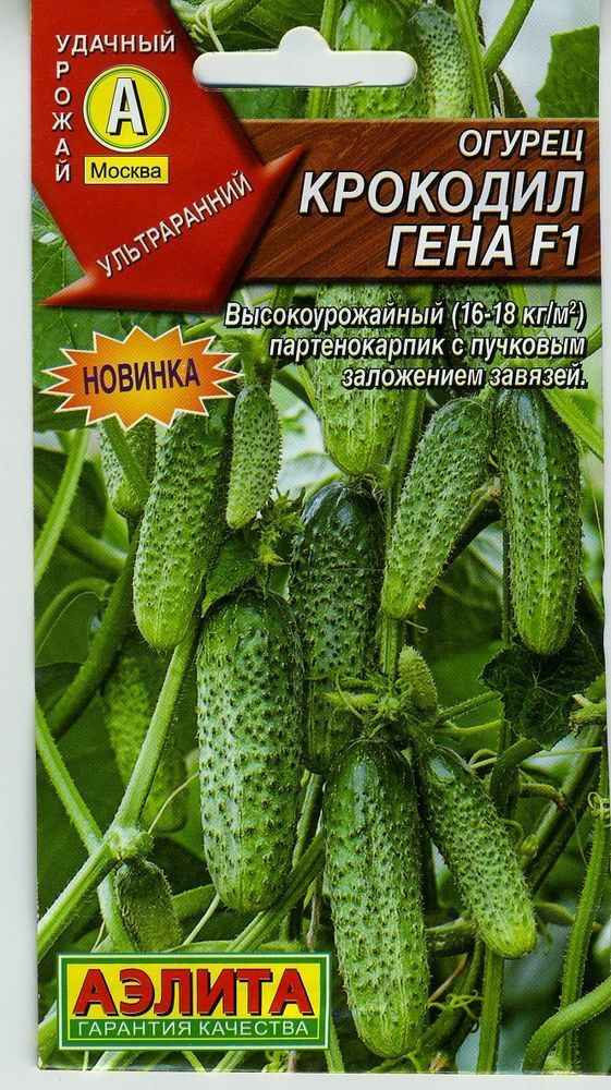 Огурец Крокодил Гена F1: описание и урожайность сорта, отзывы