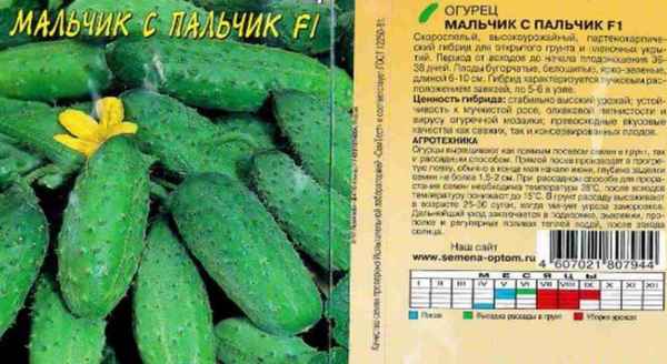 Огурец Мальчик с пальчик: описание сорта, фото, отзывы, урожайность