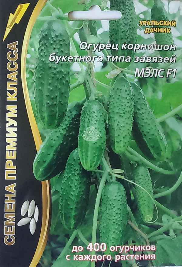 Огурец Мэлс F1: описание сорта, отзывы и урожайность, фото