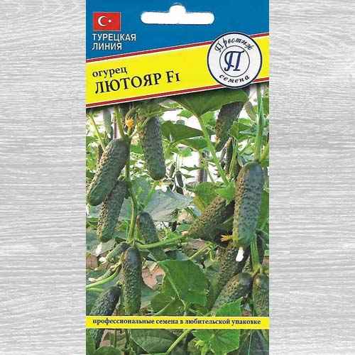 Огурец Лютояр F1: описание, хаpaктеристика сорта, отзывы, фото