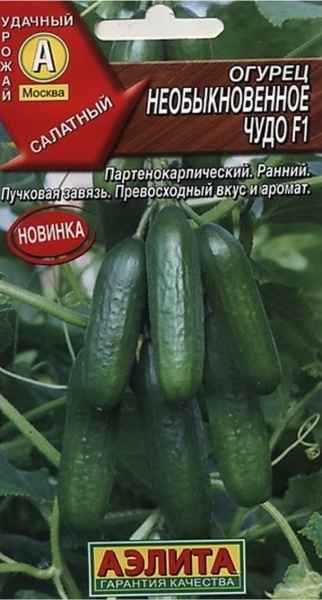 Огурец Необыкновенное чудо F1: описание сорта, отзывы, фото