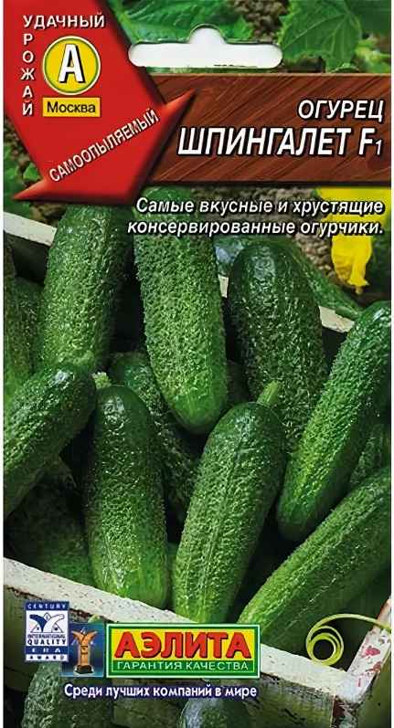 Огурец Шпингалет F1: описание сорта, отзывы, фото
