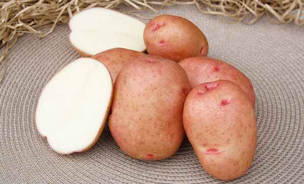 Картофель Красавчик: описание сорта, фото, отзывы, вкусовые качества