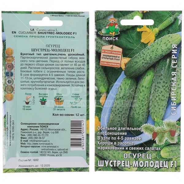 Огурец Шустрец-молодец F1: описание сорта, отзывы и урожайность