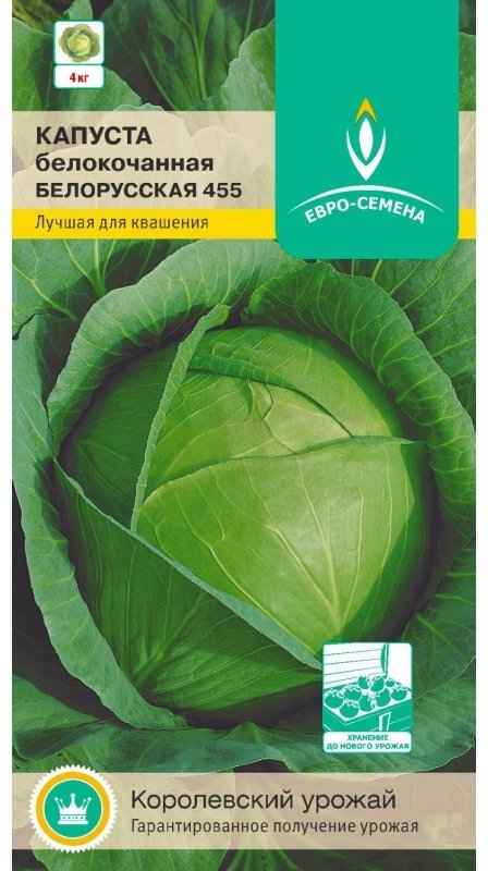 Капуста Белорусская 455: описание, урожайность сорта, отзывы