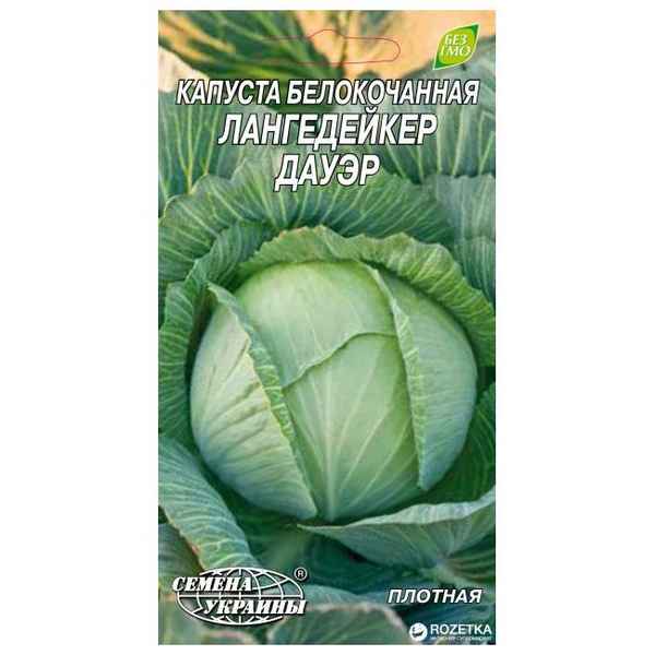 Капуста Лангедейкер: описание сорта, отзывы, урожайность и фото