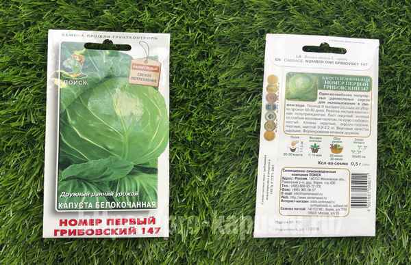 Капуста Грибовская (номер первый грибовский 147): описание сорта, отзывы, фото