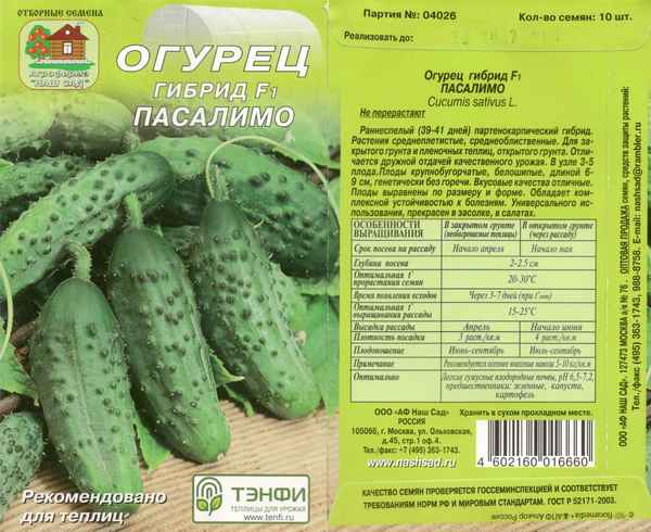 Огурец Пасалимо F1: описание и урожайность сорта, фото, отзывы