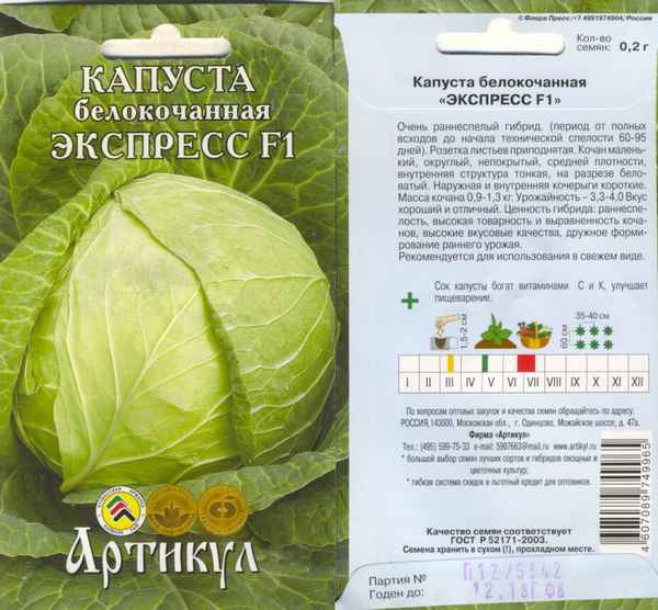 Капуста Экспресс МС F1: описание сорта, отзыв, урожайность, фото