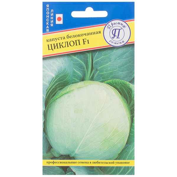 Капуста Циклоп F1: описание сорта, отзывы и урожайность, фото