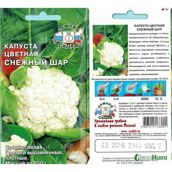 Капуста цветная Снежный шар: описание сорта, отзывы, урожайность
