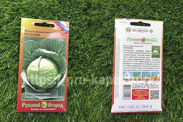 Капуста Нозоми F1: описание сорта, отзывы, урожайность, фото