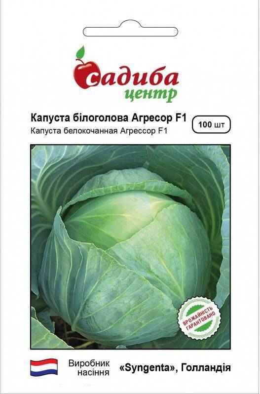 Капуста Ринда F1: описание сорта, отзывы, урожайность, фото