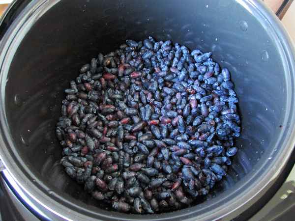 Варенье в мультиварке Редмонд: клубничное, вишневое, из абрикосов и жимолости (рецепты с фото)