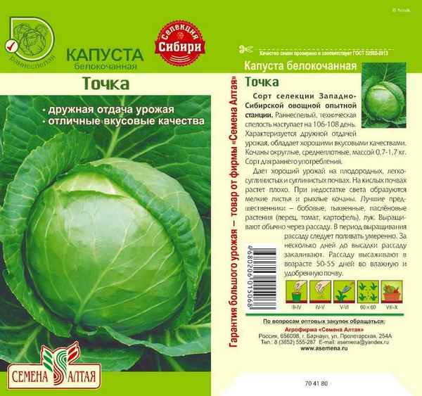 Капуста Точка: описание и урожайность сорта, отзывы, фото