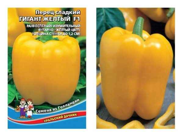 Перец Гигант Желтый F1: отзывы, фото, урожайность, описание сорта