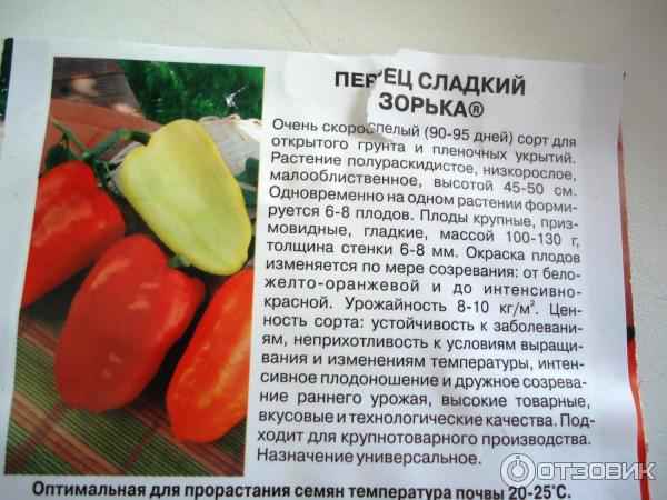 Перец Зорька (сладкий): описание сорта, фото, отзывы и урожайность