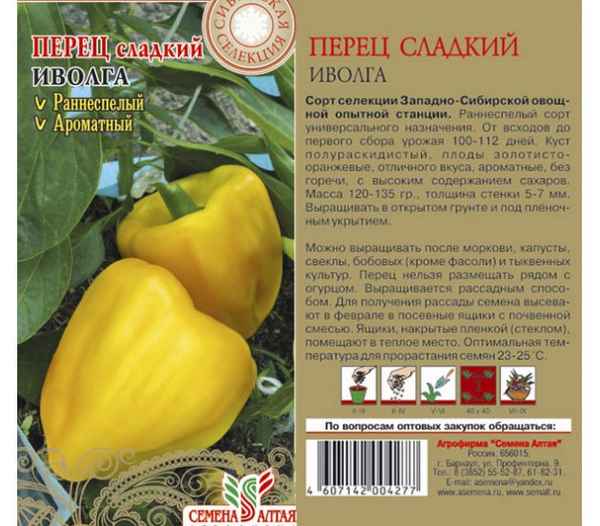 Перец Иволга: хаpaктеристика и описание сорта, отзывы, фото