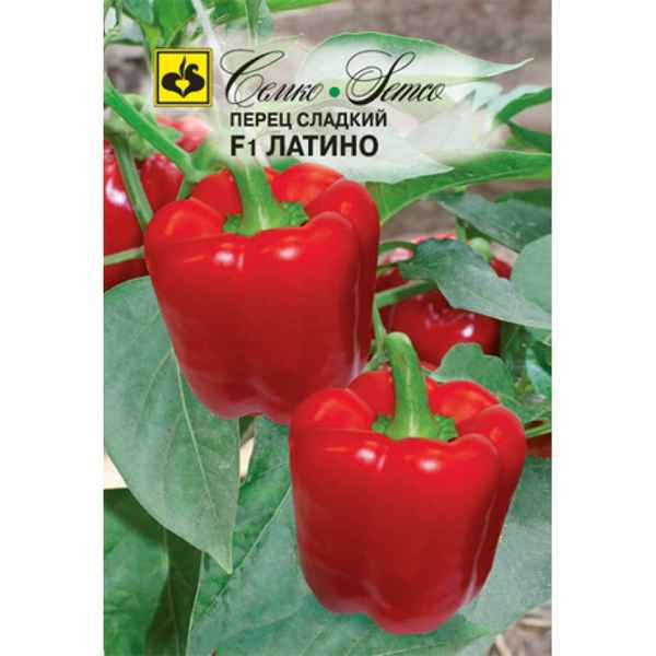 Перец Латино F1: описание сорта, фото, отзывы, урожайность